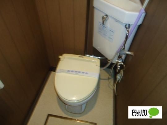 �y���̑��z�@�g�C��