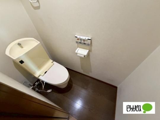 �y���̑��z�@�g�C��