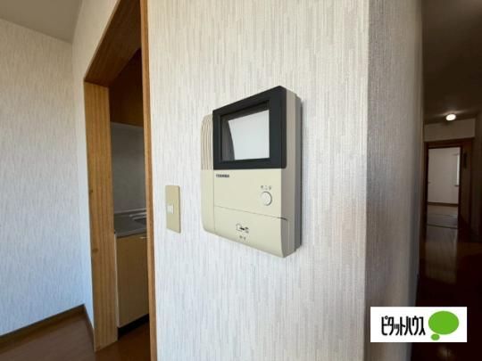 �y���̑��z�@�Z�L�����e�B