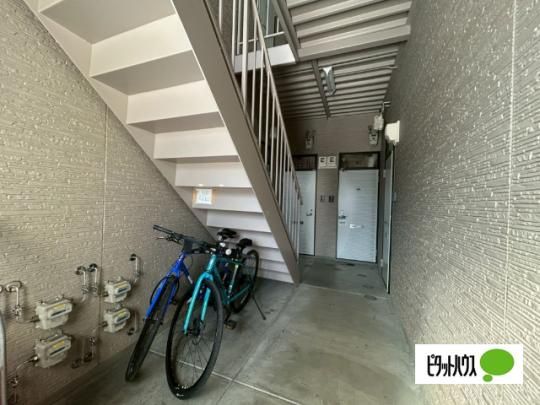 �y�����O�ρz�@�G���g�����X