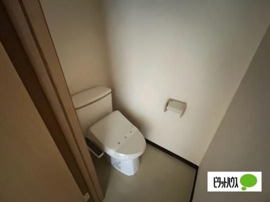 �y���̑��z�@�g�C��