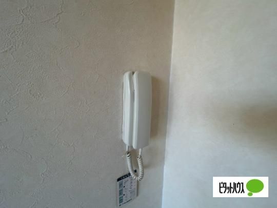 �y���̑��z�@�Z�L�����e�B