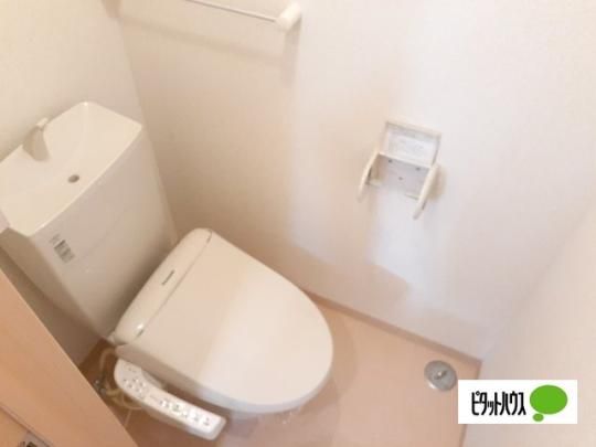 �y���̑��z�@�g�C��