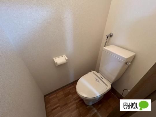 �y���̑��z�@�g�C��