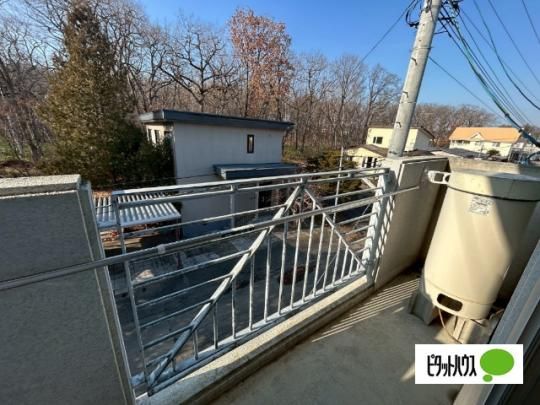�y���̑��z�@�o���R�j�[