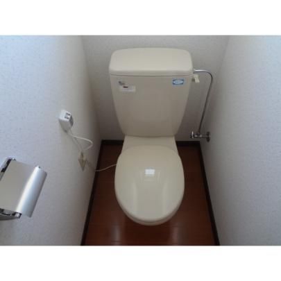 �y���̑��z�@�g�C��