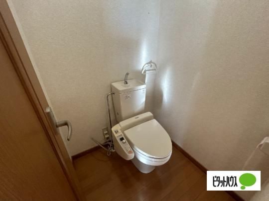 �y���̑��z�@�g�C��