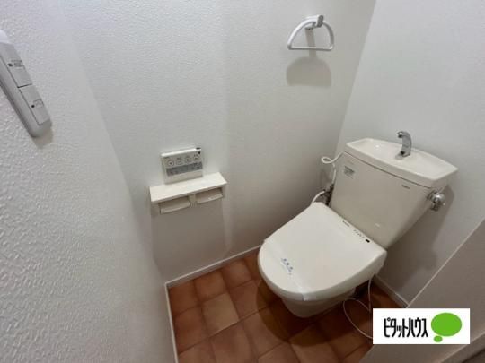 �y���̑��z�@�g�C��