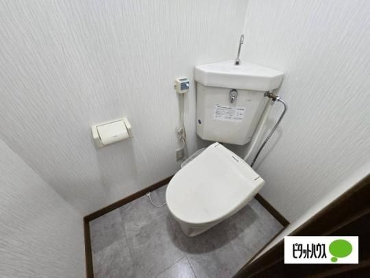 �y���̑��z�@�g�C��