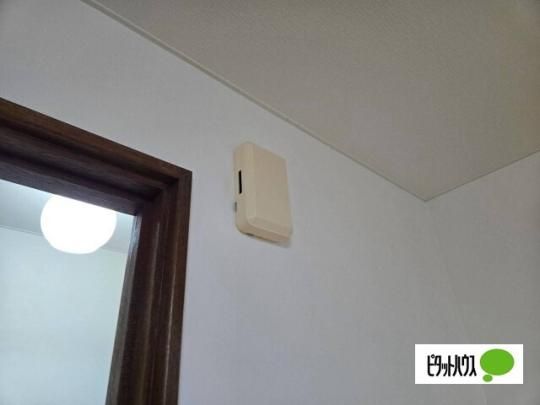 �y���̑��z�@�Z�L�����e�B