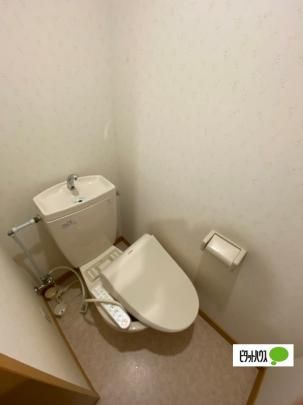 �y���̑��z�@�g�C��