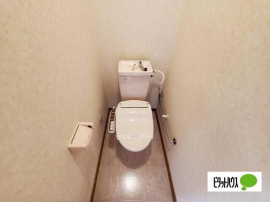 �y���̑��z�@�g�C��
