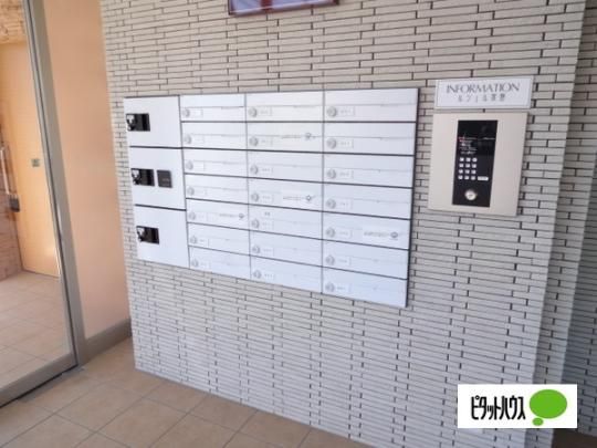 �y�����O�ρz�@���L����