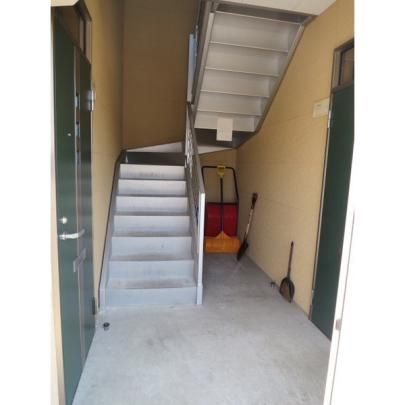 �y�����O�ρz�@���r�[