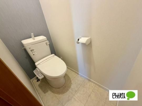�y���̑��z�@�g�C��