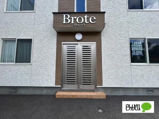 �y�����O�ρz�@�G���g�����X