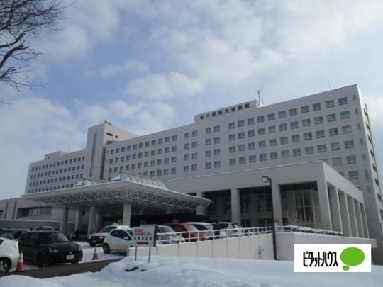 �y���Ӂz�@���������ȑ�w�F5182m