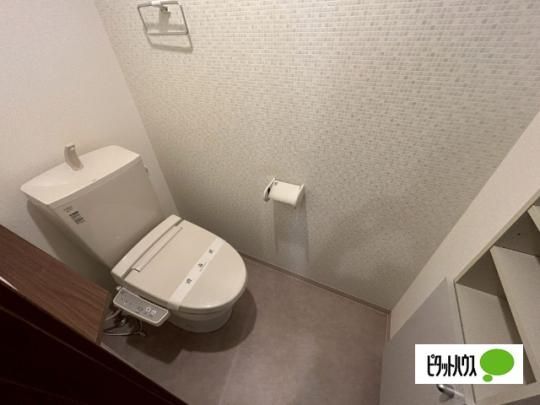 �y���̑��z�@�g�C��