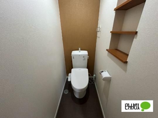 �y���̑��z�@�g�C��