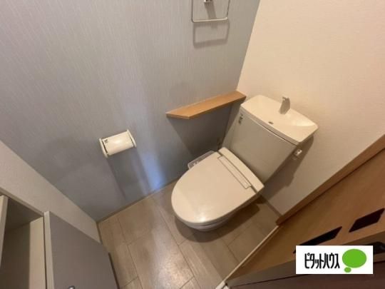 �y���̑��z�@�g�C��
