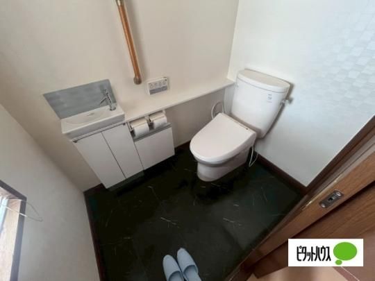�y���̑��z�@�g�C��