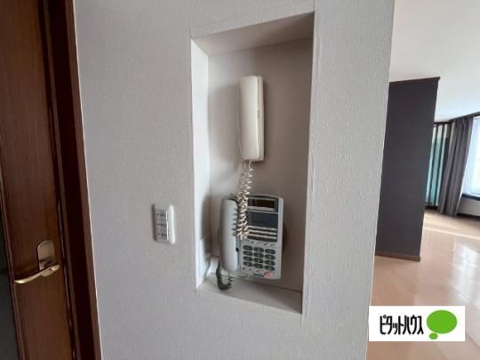 �y���̑��z�@�Z�L�����e�B