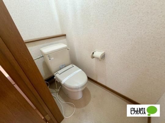 �y���̑��z�@�g�C��