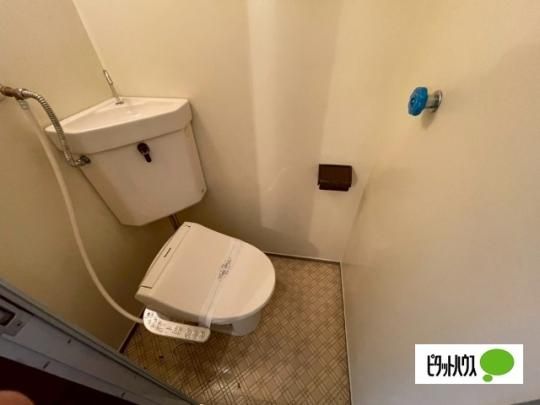 �y���̑��z�@�g�C��