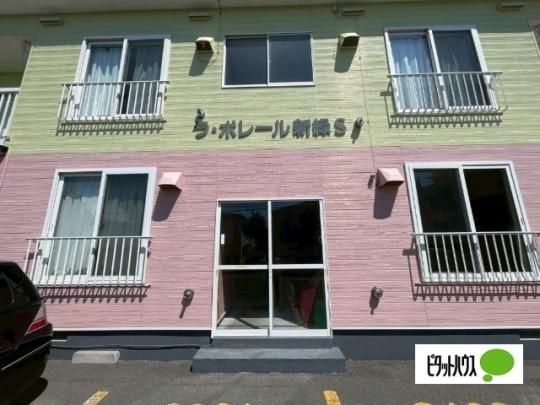 �y�����O�ρz�@�G���g�����X