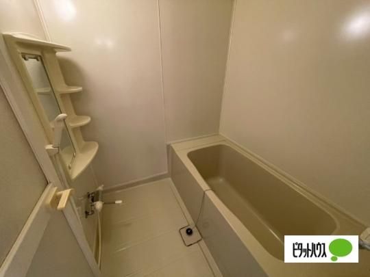 �y���̑��z�@�o�X�^�V�����[