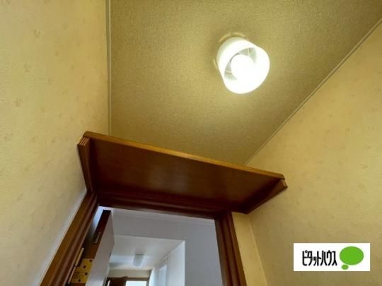 �y���̑��z�@���[