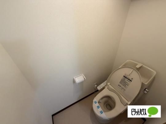 �y���̑��z�@�g�C��
