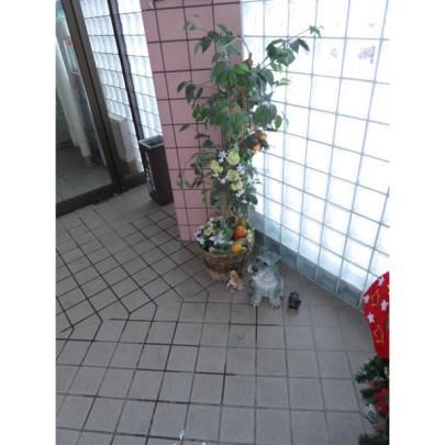 �y�����O�ρz�@���r�[