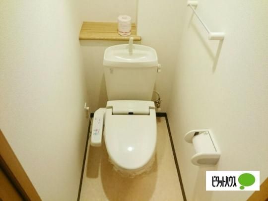 �y���̑��z�@�g�C��