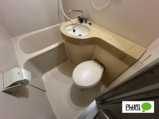 �y���̑��z�@�g�C��