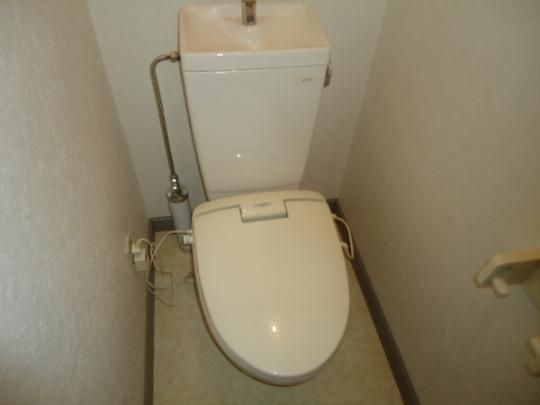 �y���̑��z�@�g�C��