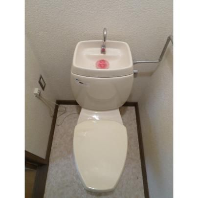 �y���̑��z�@�g�C��