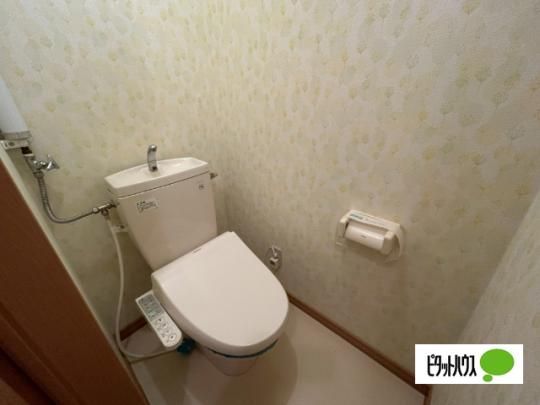 �y���̑��z�@�g�C��