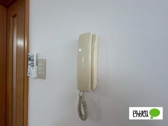 �y���̑��z�@�Z�L�����e�B