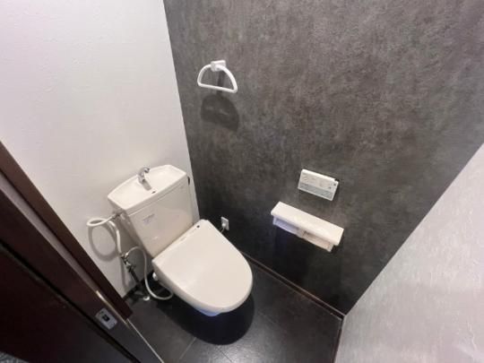 �y���̑��z�@�g�C��