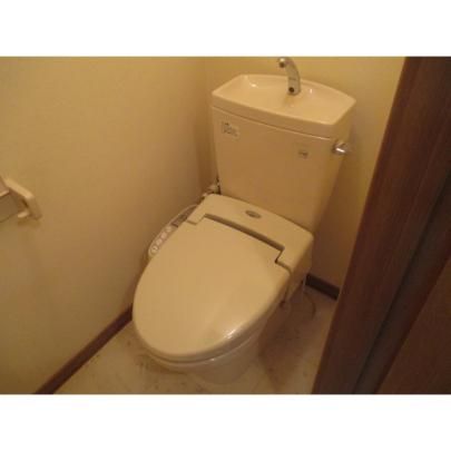 �y���̑��z�@�g�C��