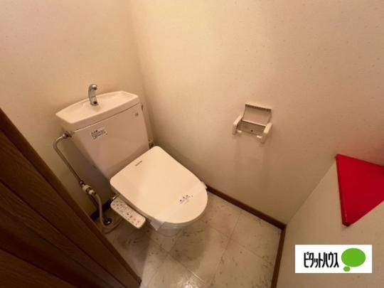 �y���̑��z�@�g�C��