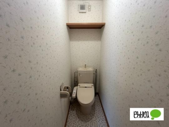 �y���̑��z�@�g�C��