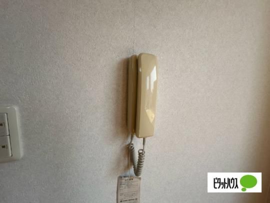 �y���̑��z�@�Z�L�����e�B