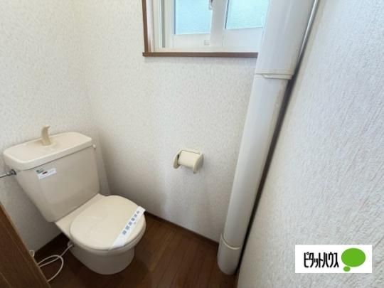 �y���̑��z�@�g�C��
