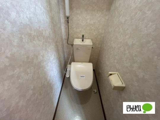 �y���̑��z�@�g�C��