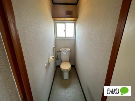 �y���̑��z�@�g�C��