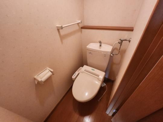 �y���̑��z�@�g�C��