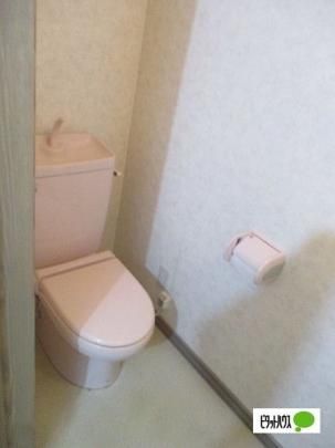 �y���̑��z�@�g�C��