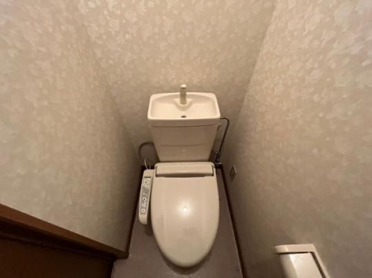 �y���̑��z�@�g�C��